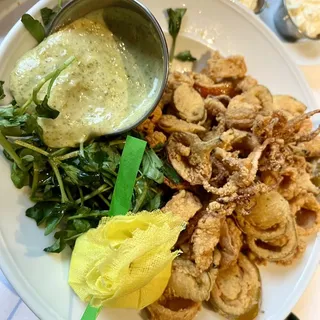 Point Judith Rhode Island Calamari