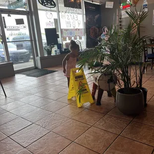 Playing with the cow