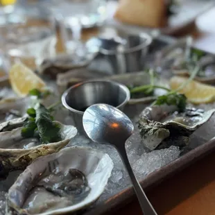 Fresh oysters