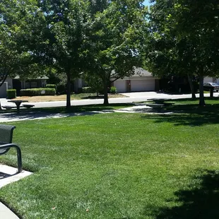 Picnic tables/benches/walking path