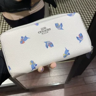 Disney Coach. This is Cinderella.