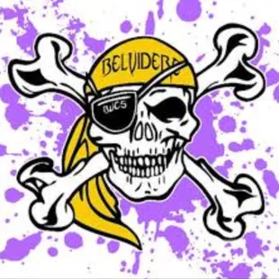 a skull and crossbones