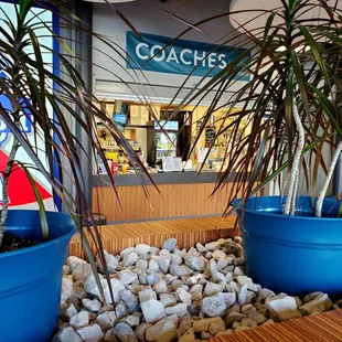 two blue planters in front of a store