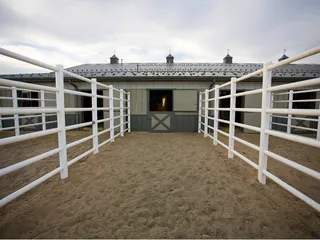 Savoy Stables