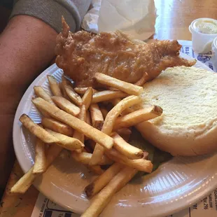 fish and chips, fish, seafood, food