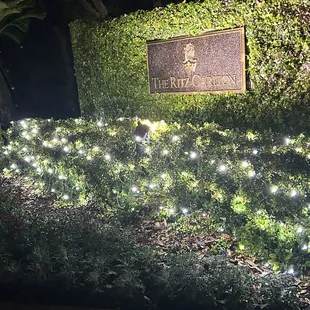 Coast Restaurant in the Ritz Carlton, Amelia Island.