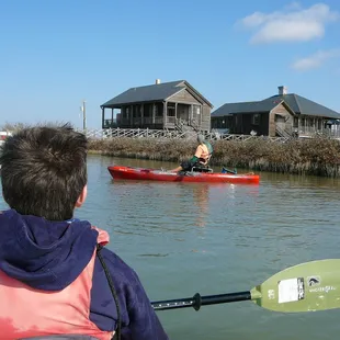 Mangrove paddling trails