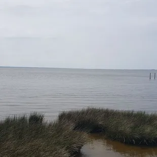 View from the boardwalk