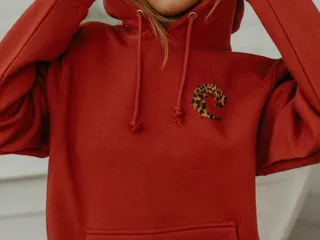 Wave Riding Vehicles