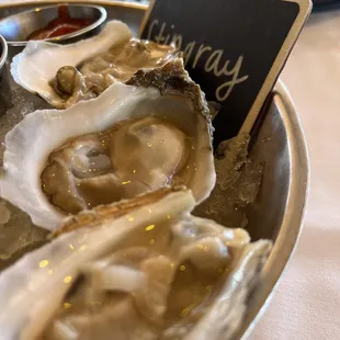 Raw Oysters