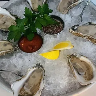 Raw Oysters