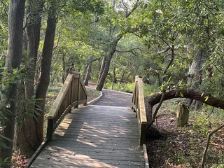 Outer Banks Arboretum & Teaching Garden