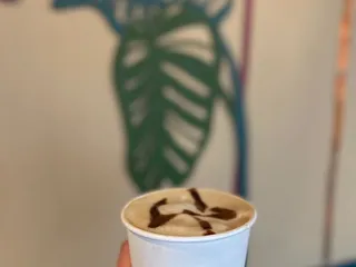Knotts Coffee