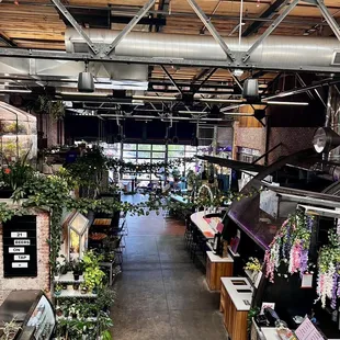 the inside of a plant shop