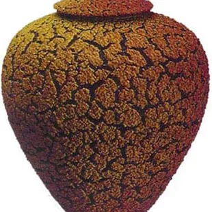Randy O'Brien Lidded Lichen Vase