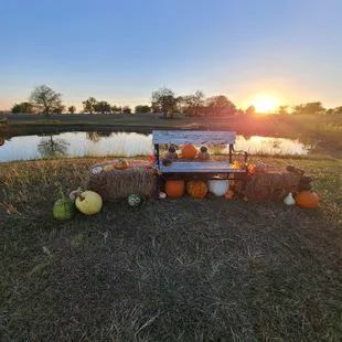 Just another beautiful day at The Patch!