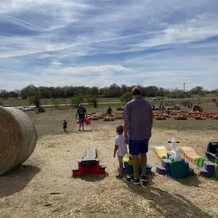 Pumpkins, mini maze, toys