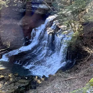 Falls from bar windows