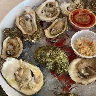 Oysters