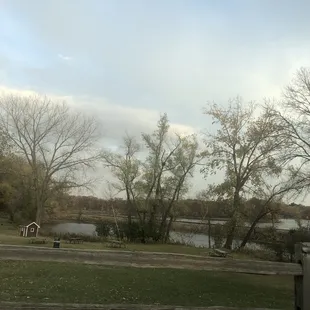 Apple tree  orchard