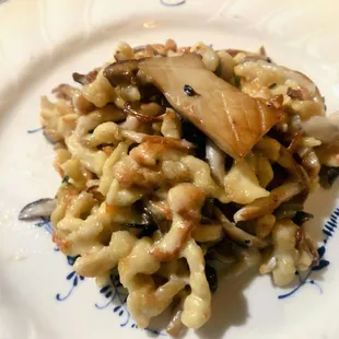 Porcini Spaetzle