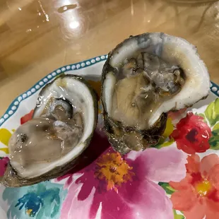 Oysters