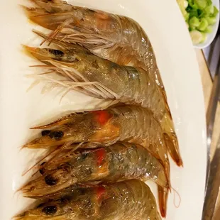 food, sushi, sashimi, sushi and sashimi