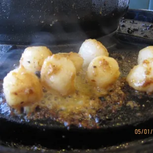 Scallops