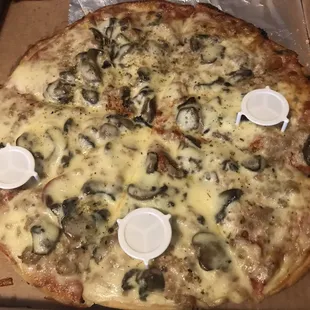 Medium Sausage and mushroom pizza