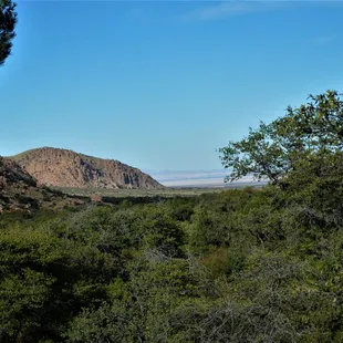 View from top of nature trail, looking down.