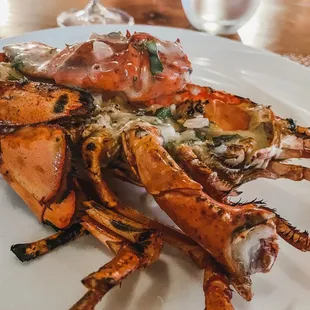 Wood-Grilled Maine Lobster