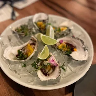 Oysters