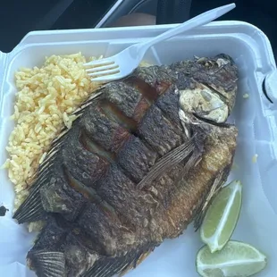 This mf is humongous! Ohlaalaahhh!