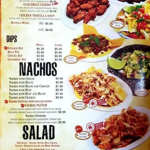 Appetizer, nachos, salads