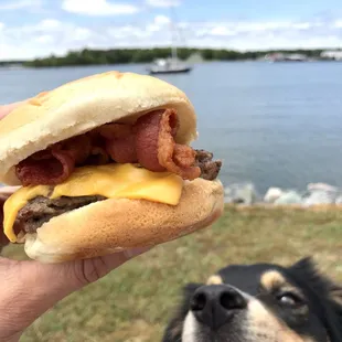 Cheeseburger + bacon