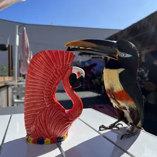 a toucan and a toucan on a table