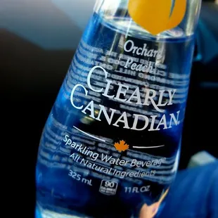 They have multiple Clearly Canadian flavors!!! (And Cheerwine!)