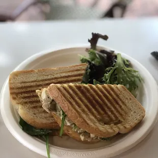 Grilled Chicken Panini