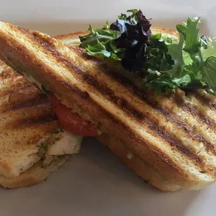 Grilled Chicken Panini