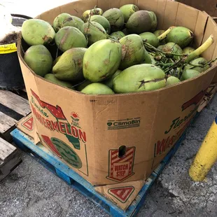 a box of coconuts