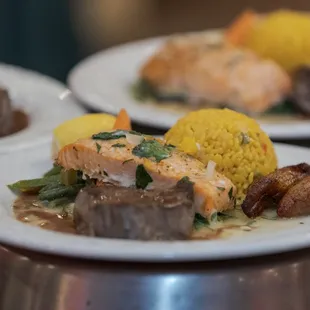Salmon, Filet Mignon, saffron rice, veggies and plantains