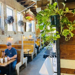 outside, sushi and sashimi