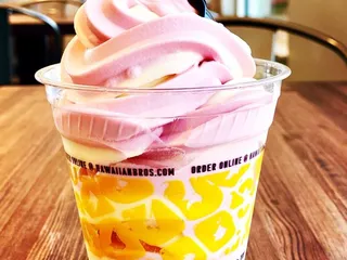 Hawaiian Bros Island Grill