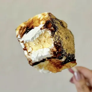 Signature Toasted Marshmallow Ice Cream