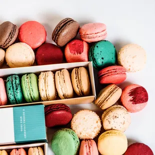 French Macaron Assortment
