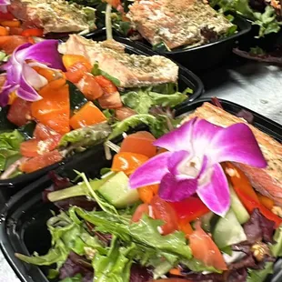 Grilled salmon&apos;s salad. Lunch catering