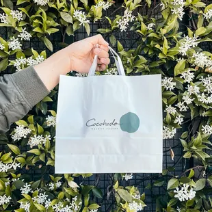 a person holding a shopping bag