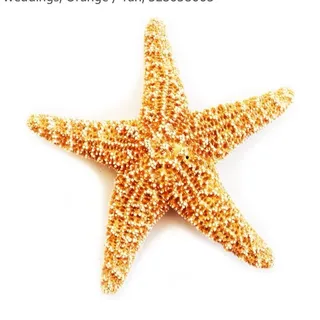 K G.