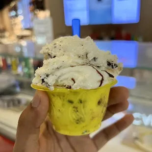 a hand holding a cup of ice cream