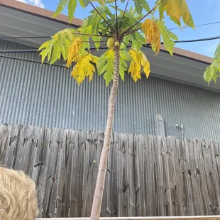 Nice fun porch area with corn hole and games for kids. Great decoration